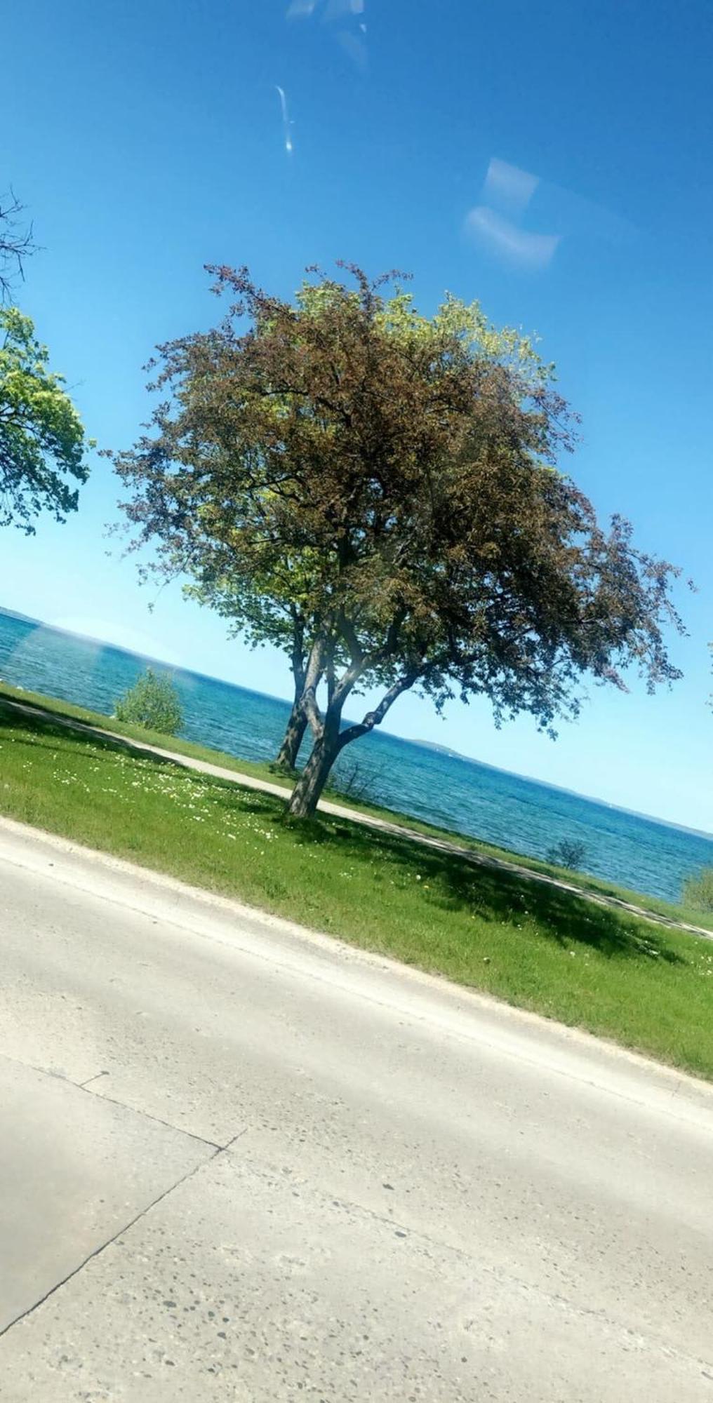 Downtown Traverse City Condo - Capri 209 Bagian luar foto